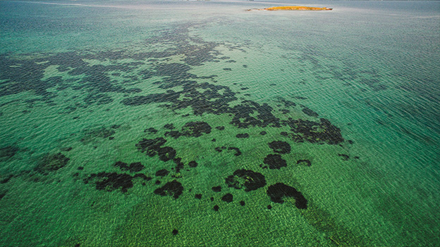 Coral Reefs Under Siege: Climate Change in the Indian Ocean