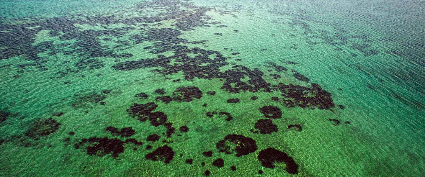 Coral Reefs Under Siege: Climate Change in the Indian Ocean