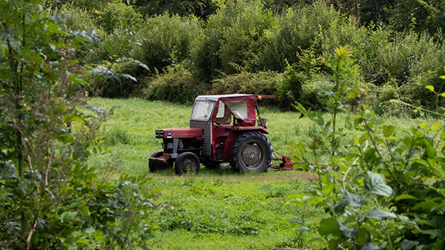 Green Revolution 2.0: Sustainable Farming Innovations in Africa