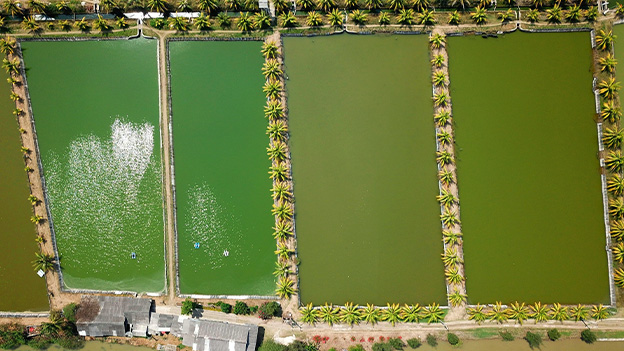 The Rise of Agroecology in African Farming Systems